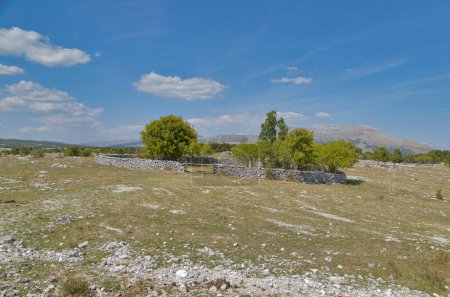 Téléchargez les photos : Cercle de mur de pierre sur une pente dans le plateau de Mostar, une zone historique de confinement du bétail ou de jardin dans Bile. - en image libre de droit