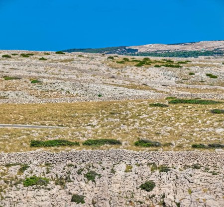 Téléchargez les photos : Le paysage varié de l'île de Pag, avec un mélange d'herbe, de rochers et de murs traditionnels en pierre sous un ciel clair. - en image libre de droit