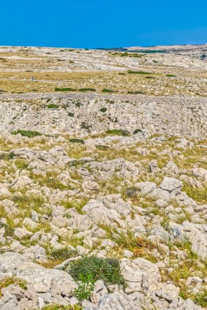 Téléchargez les photos : Le paysage varié de l'île de Pag, avec un mélange d'herbe, de rochers et de murs traditionnels en pierre sous un ciel clair. - en image libre de droit