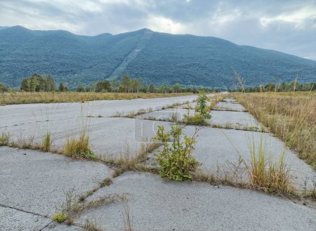 Foto de Vista a nivel del suelo de la vegetación que atraviesa las grietas de la pista de aterrizaje Zeljava Airfields, con montañas en la distancia. - Imagen libre de derechos