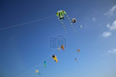 Téléchargez les photos : Festival de cerfs-volants à Fuerteventura - en image libre de droit