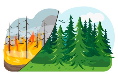 Bosque antes y después del incendio. Fuego forestal. Cambio de clima. Restauración forestal.
