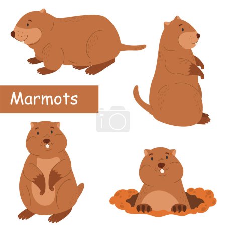 Illustration for Cute groundhog. Rodents. Set of characters. Vector illustration of a groundhog. For your design. - Royalty Free Image