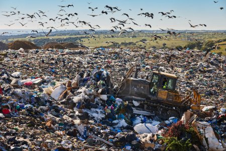 Téléchargez les photos : Heavy machinery shredding garbage in an open air landfill. Waste - en image libre de droit