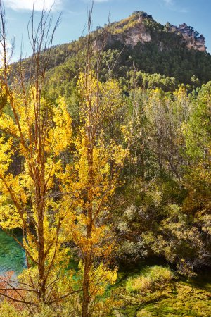 Téléchargez les photos : Picturesque Tajo river in autumn. Guadalajara, Castilla La Mancha. Spain - en image libre de droit