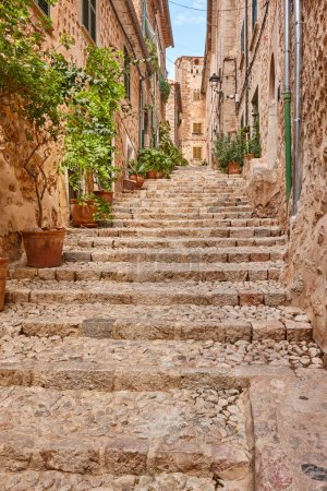 Téléchargez les photos : Ruelle traditionnelle en pierre décorée de plantes à Majorque, les îles Baléares - en image libre de droit