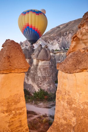 Photo for Balloons in rose valley, Cappadocia. Spectacular flight in Goreme. Turkey - Royalty Free Image