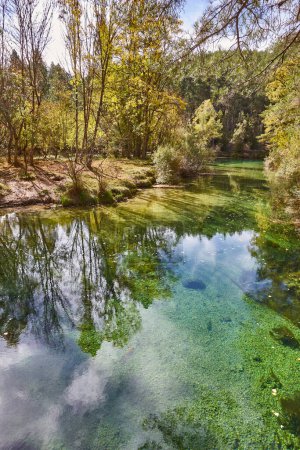 Téléchargez les photos : Rivière pittoresque Tajo en automne. Guadalajara, Castille La Manche. Espagne - en image libre de droit