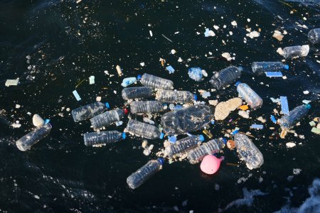 Foto de Botellas de plástico en el mar. Basura y contaminación. Aspectos medioambientales - Imagen libre de derechos