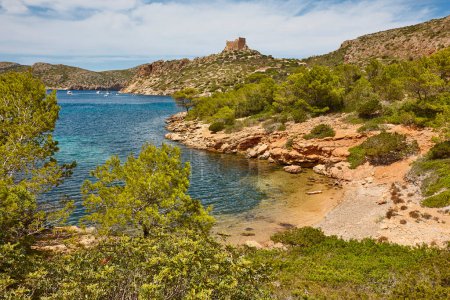 Téléchargez les photos : Eaux turquoise dans le paysage de la baie de Cabrera île. Les îles Baléares. Espagne - en image libre de droit