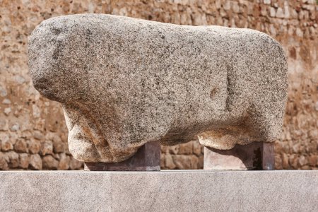 Photo for Bull granite stone sculpture. Iron bronze age. Toro, Zamora. Spain - Royalty Free Image