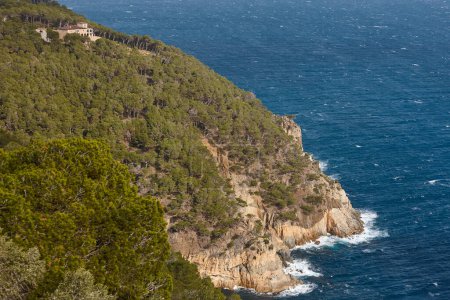 Costa Brava coastline landscape. Pinewood forest and Mediterranean sea. Spain