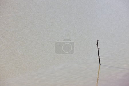 Photo for Power line after a flood damage. Weather disaster. Climate change - Royalty Free Image