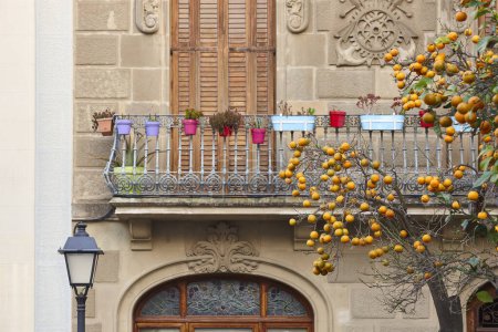 Photo for Tossa de Mar picturesque colorful balcony and building facade. Spain - Royalty Free Image