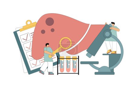 Illustration for Vector flat illustration on white background. Human liver concept. Liver treatment. People examine and diagnose the liver. - Royalty Free Image