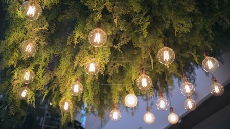 Photo for Light lamp and plant decoration ceiling design by hanging electric vintage bulb. Interior green leaf indoor background, flower natural style garden chandelier in modern home, cafe and restaurant. - Royalty Free Image