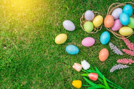 Photo for Happy Easter holiday greeting card concept. Colorful Easter Eggs and spring flowers on green grasses background. Top view, flat lay, copy space. - Royalty Free Image