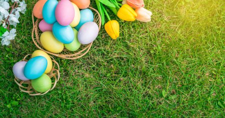 Photo for Happy Easter holiday greeting card concept. Colorful Easter Eggs and spring flowers on green grasses background. Top view, flat lay, copy space. - Royalty Free Image