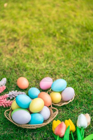 Téléchargez les photos : Décoration colorée d'œufs de Pâques dans un panier avec fleur sur pelouse verte. Joyeuse tradition pascale vacances et saison concept de célébration du printemps. - en image libre de droit