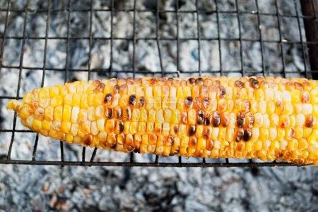 Téléchargez les photos : Maïs frit sur un gril avec un feu, barbecue - en image libre de droit