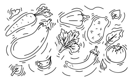 Téléchargez les illustrations : Line drawing vegetables background. Sketch design.Isolated on white background - en licence libre de droit
