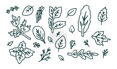 Ilustración de Verdes y hierbas, fondo. Fondo vectorial con hierbas hechas a mano . - Imagen libre de derechos