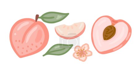 Illustration for A set of illustrations on the theme of peaches. White background. - Royalty Free Image