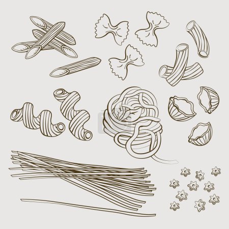 Pasta vector sketch hand drawing in vector and illustration. Vector illustration