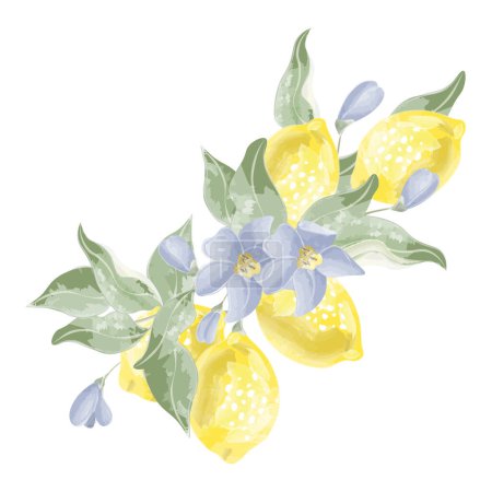 Photo for Composition of five lemons on a branch watercolor vector. Vector illustration - Royalty Free Image