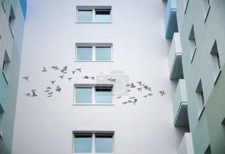 Téléchargez les photos : Graffitis muraux urbains de streetart dans un gratte-ciel de Langen, Hesse avec des oiseaux volants peints dans le ciel en peinture silicate, sur la façade murale avec des fenêtres, espace de copie - en image libre de droit