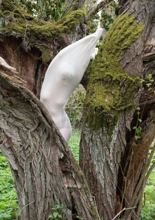 nude woman, body wrapped in long skin tight white dress highlighting body shapes, as living statue in nature old willow tree, copy space