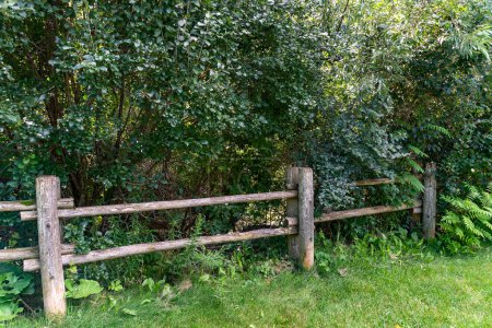 Téléchargez les photos : Une clôture de grumes épaisses et minces sépare la verdure du salon - en image libre de droit