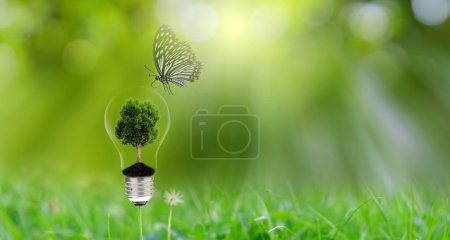 Foto de Plants flowerings are bulb and have tree growing in the bulb with butterfly and bokeh background. Energy-saving and environmental concepts on Earth Day. Environmental protection, renewable, sustainable. - Imagen libre de derechos
