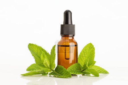 Peppermint essential oil on white background. Herbal remedies