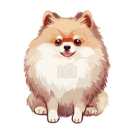 Illustration for Cute Sitting pomeranian dog looking up isolated on a white background. Vector illustration - Royalty Free Image