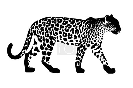 Silueta de jaguar aislada sobre fondo blanco. Ilustración vectorial