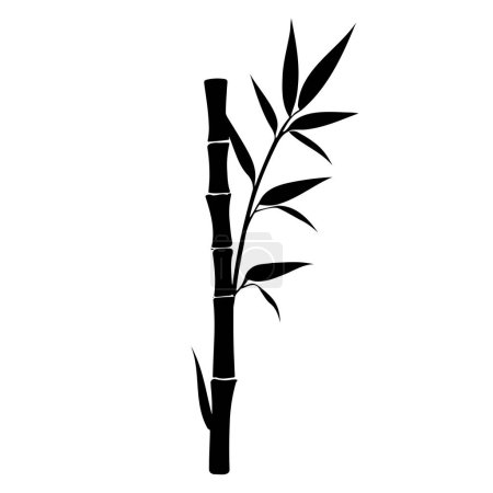 Bambuspflanzensilhouette. Vektorillustration