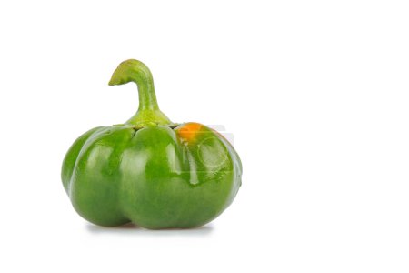 Foto de Paprika. Pepper isolated on white and gray background. Green pepper. With trajectory clipping. Close-up macro photo - Imagen libre de derechos