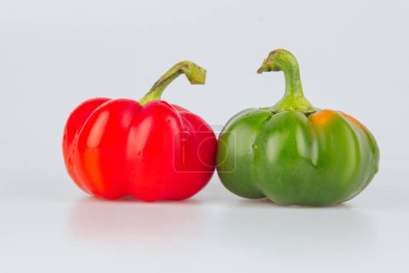 Téléchargez les photos : Paprika. Pepper isolated on white and gray background. Red and green pepper. With trajectory clipping. Close-up macro photo - en image libre de droit