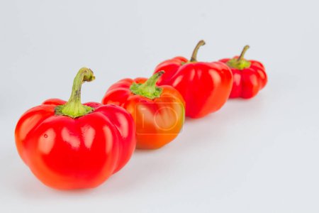 Foto de Colorful small red peppers on a white background. Sweet pepper Mini Bell. Assorted paprika. Peppers in a row. From bigger to smaller. Concept of growth and diversity - Imagen libre de derechos