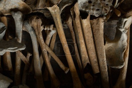 Foto de Una pila de huesos de personas muertas en el lugar del entierro de la Tana Toraja, en Tampang Allo, Sulawesi, Indonesia - Imagen libre de derechos