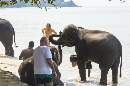Téléchargez les photos : Thaïlande - 15 janv. 2020 : Éléphants utilisés comme activité touristique, équitation d'éléphants, sur l'île de Koh Chang, dans le golfe de Thaïlande - en image libre de droit