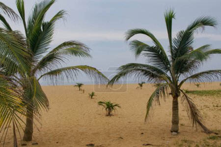 Foto de Hermosa vista de una playa en Grand-Popo - Imagen libre de derechos