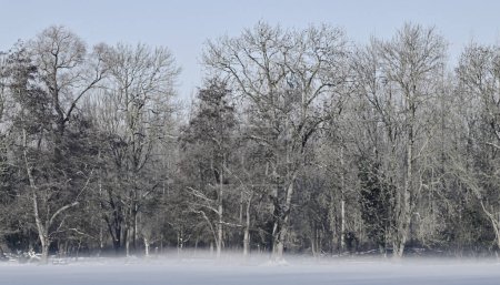 Photo for Beautiful winter landscape in Belgium - Royalty Free Image