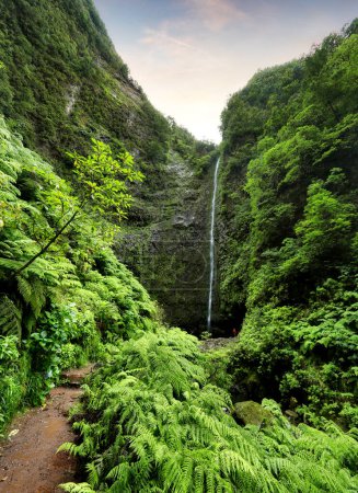 Madeira - Schöner Wasserfall am Ende der Levada Caldeirao Verde, grüner Regenwald-Dschungel