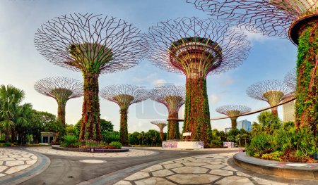 Photo for Singapore Supertrees in garden by the bay at Bay South Singapore - Royalty Free Image