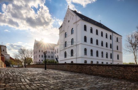 Foto de Gyor, Hungría. Niza viejo edificio Arquitectura - Facultad de Teología - Imagen libre de derechos