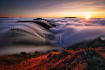 Photo for Mountains in fog at beautiful sunset in autumn in Slovakia Landscape with alpine mountain valley, low clouds, forest, purple sky city illumination at twilight. - Royalty Free Image