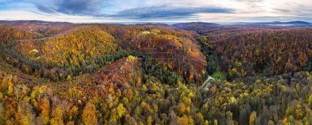 Téléchargez les photos : Panorama aérien des drones de la montagne des Carpates à Bratislava. Vue sur le magnifique paysage forestier d'automne. Arbres colorés dans le bois. - en image libre de droit