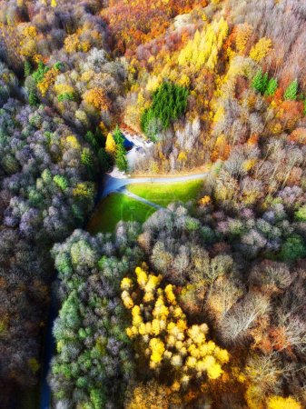 Téléchargez les photos : Automne en forêt vue aérienne. Forêt mixte. Lumière douce dans les bois ou le parc de campagne. pousse de drone au-dessus de texture verte colorée dans la nature - en image libre de droit